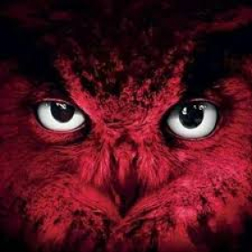 Bengaalse Bosuil Bengaalse Bosuil