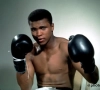 Hele wereld rouwt mee om overlijden van 'The Greatest'