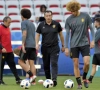 Wilmots en Vertonghen reageren: "Zweden verwacht meer kansen tegen ons?"