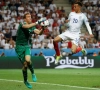 IJslandse goalie schitterde al ... op het Eurovisiesongfestival