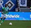 Wolfsburg-middenvelder breekt zijn nek tijdens oefenduel