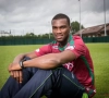 Oulare enkele weken out? Meer duiding vanuit Waregem