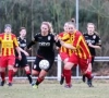 "Met spijt in het hart": club uit eerste nationale houdt ermee op! 