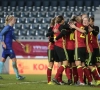 Waanzin: Flames tegen Nederland ... in uitverkocht stadion!
