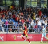 VIDEO: Fans van de Flames zien het zitten: "Finale, waarom niet?" 