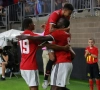 Lukaku is nu niet meer te houden: raket op de kruising, en Kompany afgetroefd voor zijn 2e goal in 2 matchen (mét beelden!) 