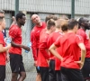 Onze prognose: KV Kortrijk moet hopen dat nieuwe bezem hard genoeg veegt