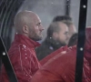 Jelle Van Damme legt uit waarom hij tegen STVV op de Antwerp-bank begon: "Ik ben daar eerlijk over geweest tegen de coach"