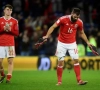? Met deze streep bezegelt McClean het lot van Wales