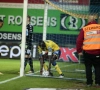 Revelaties Waasland-Beveren en Moeskroen willen de draad weer oppikken na klein dipje