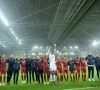 'Zulte Waregem gaat zwaar uithalen in wintermercato en dacht al aan Gentenaar en oude bekende'