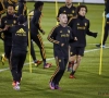 Broer Nainggolan maakt komaf met Roberto Martinez: "Hij moet Radja haten"