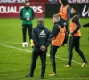 Hoe moet Roberto Martinez zich voelen na de kritiek? Minzaam, verzoenend, maar toch: "Sommigen doen dat intern, anderen openlijk"