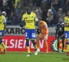 De leeuwen van de Freethiel: "Waasland-Beveren heeft een bepaald respect gekregen"