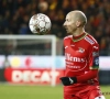 Ook het verblijf van Franck Berrier bij KVO was maar van korte duur