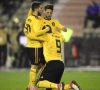 De komische tweet van Dries Mertens die inslaat als bommetje op sociale media: "Er zijn andere manieren om ons te bedanken hoor Romelu"