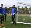 Wordt het Gabulov of Horvath bij Club? Leko reageert