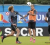 ? Rode Duivel Marouane Fellaini krijgt niet bepaald warme ontvangst van Liverpool-fans voor CL-finale...