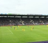 Fans van Beerschot Wilrijk keerden zich tegen de eigen ploeg: "Ik kan ze begrijpen, maar cynisme helpt ons natuurlijk niet"