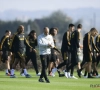 Fellaini opnieuw van de partij, maar sleutelpion ontbreekt op de tweede training van de Rode Duivels 