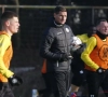 Coach De Boeck wil nog bekende topschutter naar Lokeren halen