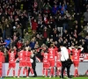 Goed nieuws voor Antwerp: extra wapen tijden play-off 1 is een feit