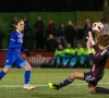 Zeven nieuwe Nederlandse Adidas-atleten