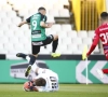 UPDATE: Zulte Waregem haalt Belgische spits transfervrij binnen, wat met Berahino?