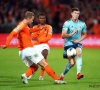 Nederland volgend jaar ook gastland tijdens EK