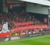 📷 "Gekomen als een jongen, vertrokken als legende": Fans Antwerp zijn 'hun' Hairemans nog lang niet vergeten in #KVMANT