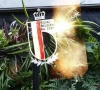 🎥 Dit zijn de nieuwe logo's van de Duivels, de Flames en van 1895: "Modernisering was nodig"