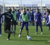 In youth we trust? Anderlecht heeft meest eigen-opgeleide spelers in rangen lopen én doet ook met andere straffe statistiek beter dan Standard, Genk, Mechelen en de rest