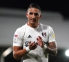 Fulham promoveert en neemt een resem oude bekenden van de Pro League mee naar de Premier League