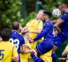 Kompany scoort in overwinning Anderlecht tegen Sint-Truiden