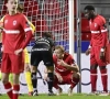 Hopelijk geen zware hoofdblessure voor De Laet "test zullen moeten uitwijzen hoe ernstig het is"