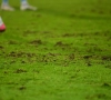 Wat is er aan de hand met het veld van Essevee? "We hadden hen hiervoor gewaarschuwd"