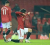 Manchester United wint moeizaam tegen Brighton