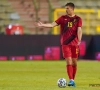 Analist Degryse heeft twijfels: "Ik vind dat het 'vraagstuk-Witsel' niet opgelost is"