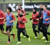 Rode Duivels sluiten campagne af in en tegen Wales: voor de eer(ste plaats op de FIFA-ranking)
