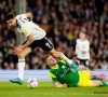 Mitrović brengt Fulham in stijl naar Premier League: eerste speler sinds '93 met 40 goals in Engelse tweede klasse