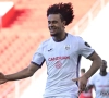 Nog steeds niet onder dak, maar nu toont ook Bundesliga-club vergevorderde interesse voor Zirkzee
