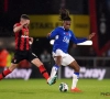 🎥 Misnoegde Evertonfan gooit truitje van speler terug na blamerende nederlaag