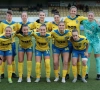 Lotto Super League: Westerlo krijgt goed nieuws van licentiecommissie