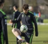 Opvolger Vromant komt eraan: Cercle Brugge krijgt nieuwe technisch directeur