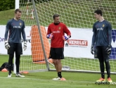"Courtois bij de beste vijf doelmannen ter wereld? Misschien horen daar wel twee Belgen bij"