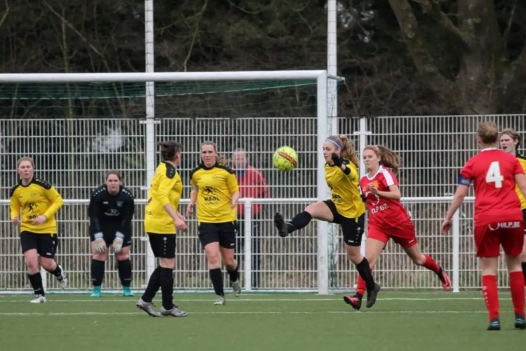 DVK Egem en coach gaan uit elkaar, club legt uit na 15 op 18
