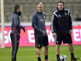 Nainggolan beseft heel goed: "Pas toen is het écht gaan lopen bij de Rode Duivels"